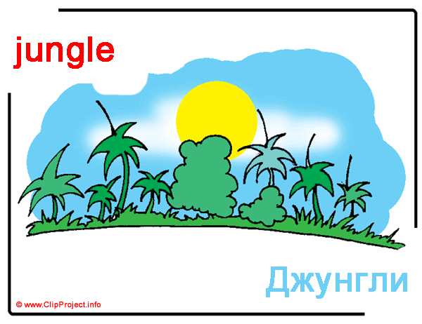 Jungle - Джунгли, англо-русский словарь в картинках для детей, русско-английский словарь в картинках, английский алфавит, картинки, клипарты