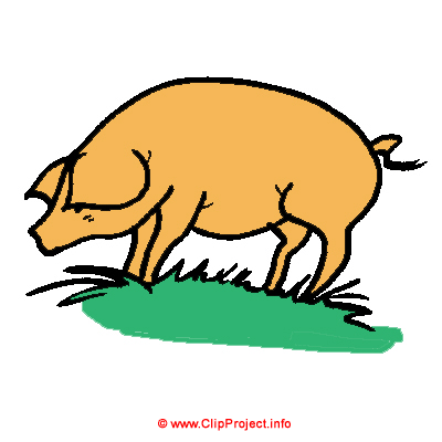 Clipart Schwein, Schweinchen, Bauernhof, gratis Gif