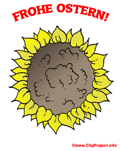 Sonnenblume Clipart gratis download