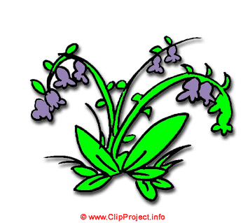 Feldblumen, Gif Clipart kostenlos herunterladen