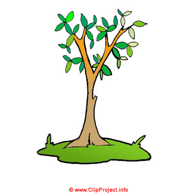 Baum, Gif Clipart kostenlos herunterladen