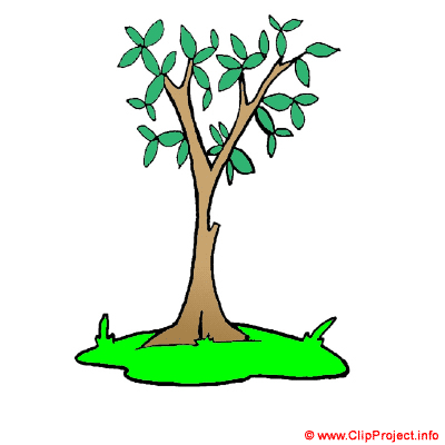 Baum, Gif Clipart kostenlos herunterladen