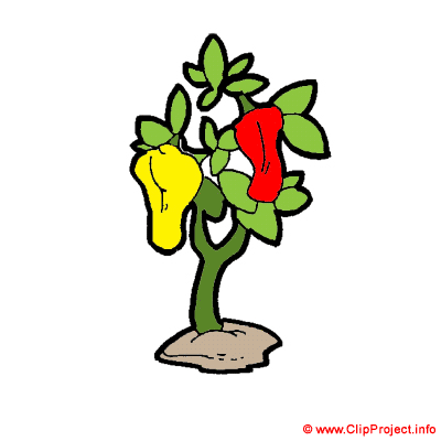 Paprika, Gif Clipart kostenlos herunterladen