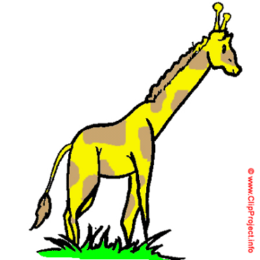 Giraffe, Gif Clipart kostenlos herunterladen