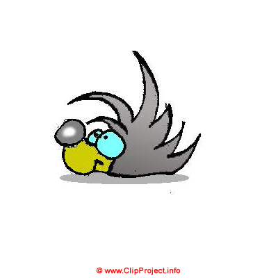 Igel, Gif Clipart kostenlos herunterladen