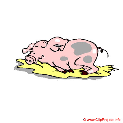 Schwein, Gif Clipart kostenlos herunterladen