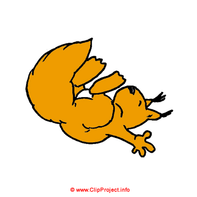 Eichhörnchen, Muetze, Gif Clipart kostenlos herunterladen