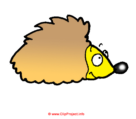 Igel, Gif Clipart kostenlos herunterladen