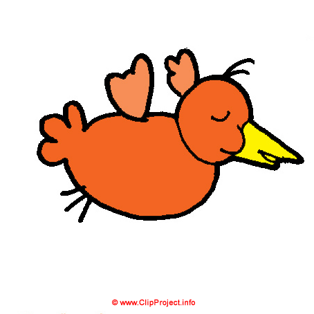 Vogel, Gif Clipart kostenlos herunterladen