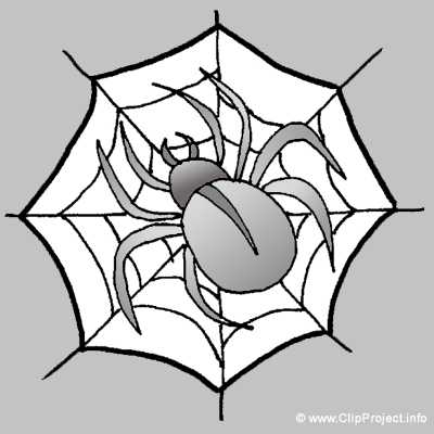 Spinne, Gif Clipart kostenlos herunterladen