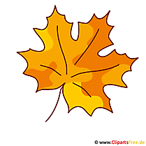 Ahornblatt Bild - Herbst Clipart