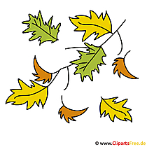 Herbst Bilder - Eichenblatt Clip Art