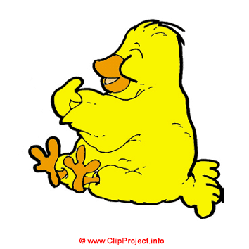 Chicken clip art - Clip art birds Chicken clip art - Clip art birds