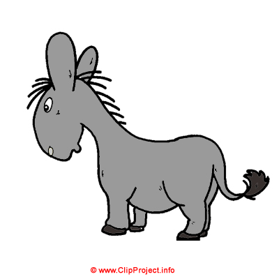 Donkey clipart - Zoo Donkey clipart - Zoo