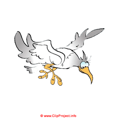 Flying bird - Animal Flying bird - Animal