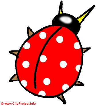 Ladybird beetle clip art - Pictures of wild animals Ladybird beetle clip art - Pictures of wild animals