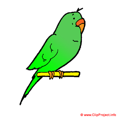Parakeet clipart - Zoo animals clip art Parakeet clipart - Zoo animals clip art