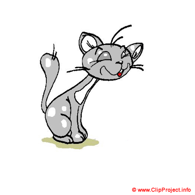 Grey cat clipart free