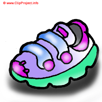 Sport shoe image free