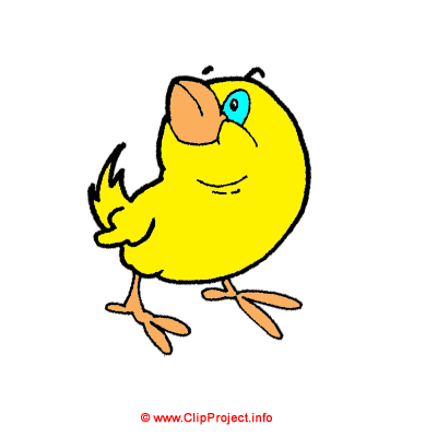 Chicken image free 