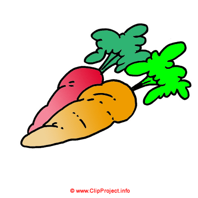 Carrots inage free in cartoon style Carrots inage free in cartoon style