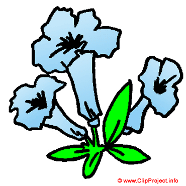 Blue flower cartoon image Blue flower cartoon image