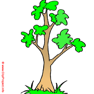 Cartoon tree clipart