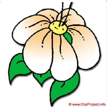 Flower clipart gratis 