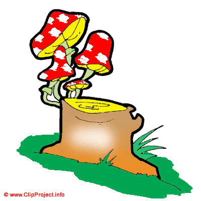 Mushrooms cartoon clipart - Plant clip art free Mushrooms cartoon clipart - Plant clip art free