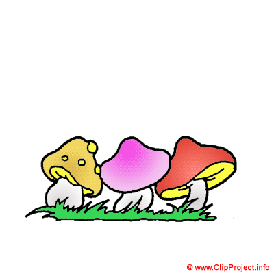 Mushrooms in the wood - Plant clipart images free Mushrooms in the wood - Plant clipart images free