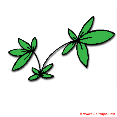 Plant clipart free