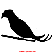 Eagle clip art - Free funny pictures of animals