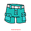 Shorts image free