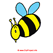 Bee clipart image free