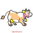 Calf clipart image