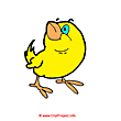 Chicken image free 