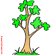 Cartoon tree clipart