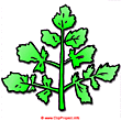 Fern cartoon image free