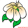 Flower clipart gratis 